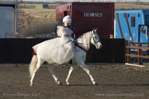 Collecting Ring Fancy Dress!